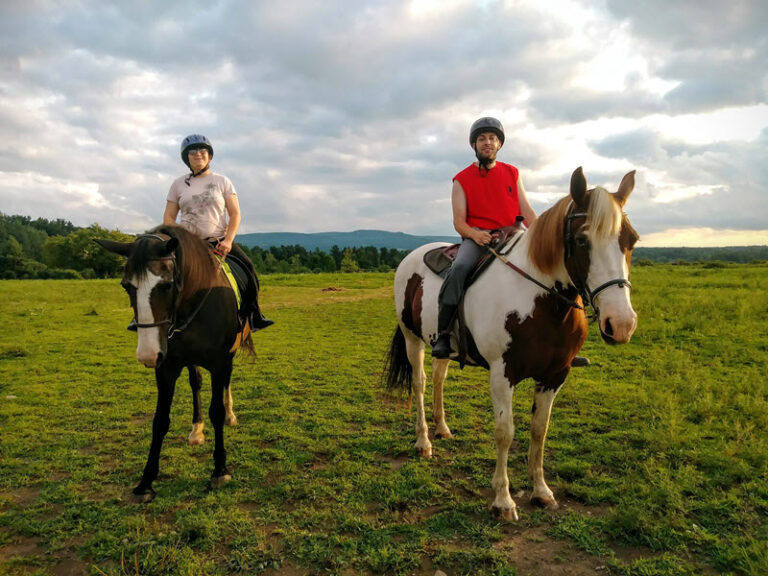 Image of individuals riding horses