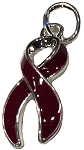 Adults_Developmental_Disabilities_Awareness_Ribbon