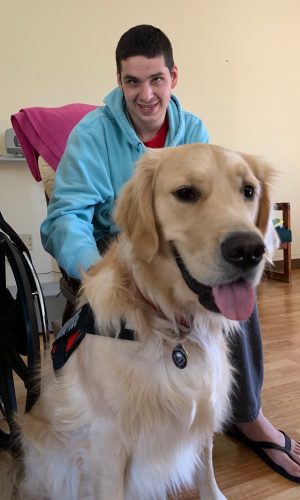 Individual and therapy dog